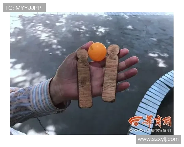 陈娜独家分享乒乓球技巧与心得助你提升球技的秘诀与经验