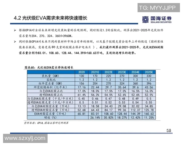 西安排球队技术解析与战术应用的深度探讨与研究
